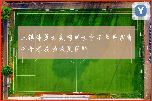三镇球员刘奕鸣训练中不幸手掌骨折手术成功恢复在即