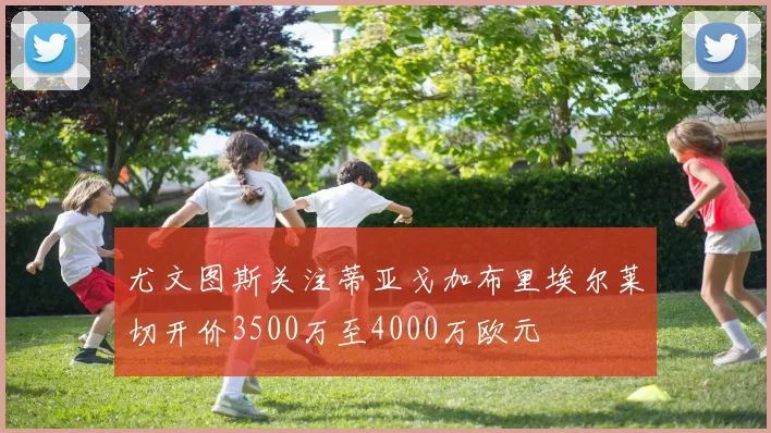 尤文图斯关注蒂亚戈加布里埃尔莱切开价3500万至4000万欧元